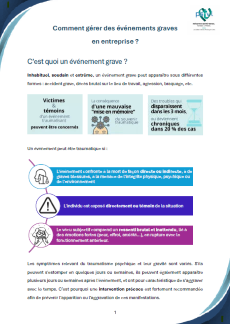 EVENEMENT GRAVE - FICHE RENSEIGNEMENT