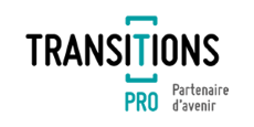 transition pro